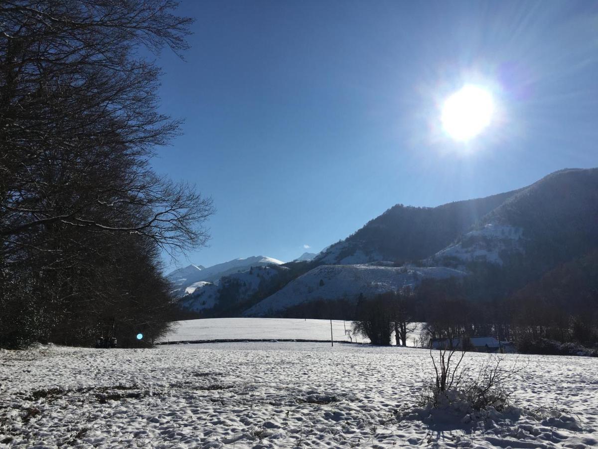 Charmant Appartement Sur Cour, Le Berlingott Bagneres-de-Bigorre Luaran gambar